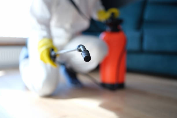  , USA Mold Removal Pros